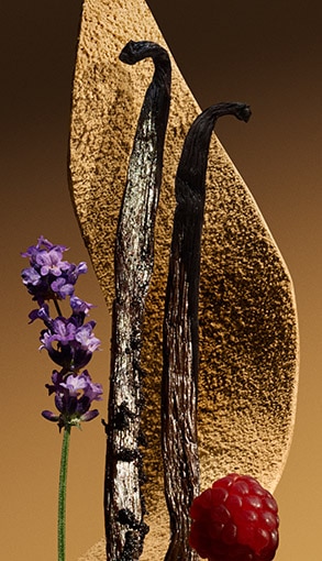 GRID 3-medium 2_BURBERRY_Lxh_293x510px.jpg